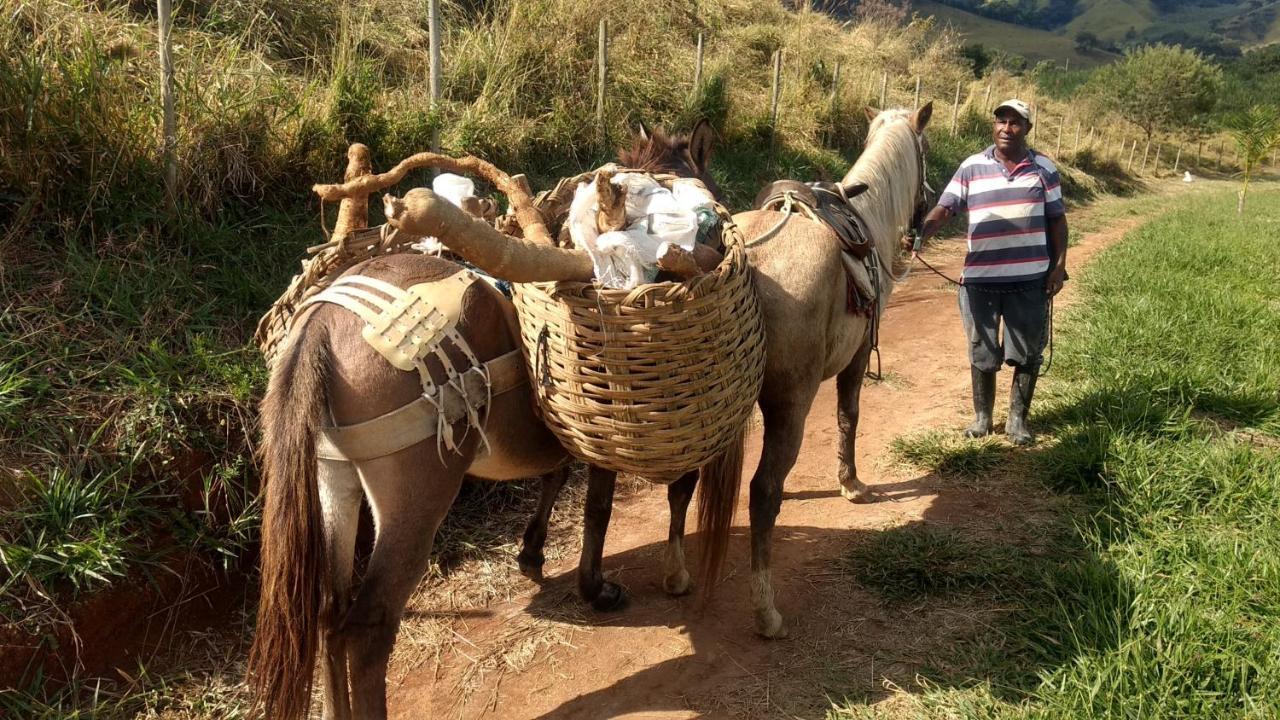 Quinta Do Papagaio Villa Pouso Alto Eksteriør bilde